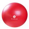 Sveltus Gymball 65 cm Red view 1