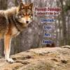 PredatorPee 100% Coyote Urine - Territorial Marking Scent - Creates Illusion That Coyote is Nearby - 16 oz view 4