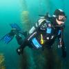 Scubapro Everflex Gauntlet Dive Glove, 5mm, 2X-Large view 2