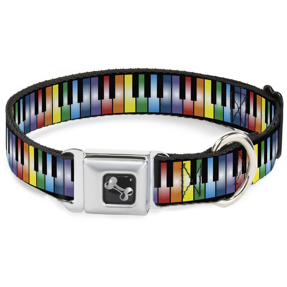 Buckle-Down Seatbelt Buckle Dog Collar - Piano Keys Rainbow - 1.5" Wide - Fits 13-18" Neck - Small