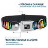 Buckle-Down Seatbelt Buckle Dog Collar - Piano Keys Rainbow - 1.5" Wide - Fits 13-18" Neck - Small view 4