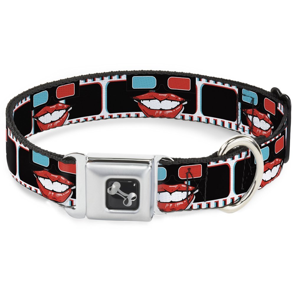 Buckle-Down Seatbelt Buckle Dog Collar - 3-D Filmstrip - 1" Wide - Fits 11-17" Neck - Medium
