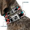 Buckle-Down Seatbelt Buckle Dog Collar - 3-D Filmstrip - 1" Wide - Fits 11-17" Neck - Medium view 2