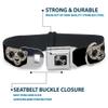 Buckle-Down Seatbelt Buckle Dog Collar - Panda Bear Sugar Skull Black/White - 1.5" Wide - Fits 16-23" Neck - Medium view 4