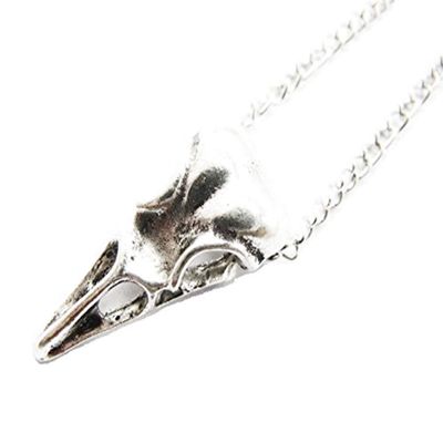 2Pcs Ancient Silver Raven Skull Necklace, Bird Skull Pendant, Big Bird Skull Necklace, Raven Skull, Goth Jewellery