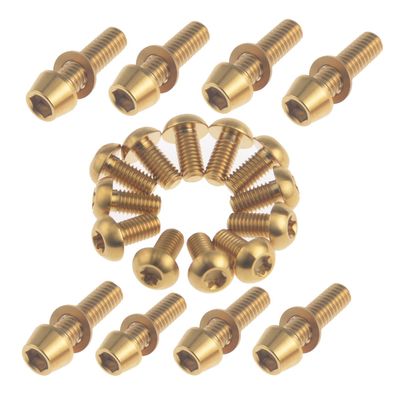 Bicycle Disc Brake M6 X 20m Mtitanium Bolts Upgrade Kit for Hope Shimano Hayes Magura Formula (Gold)