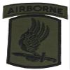 173rd Sky Soldiers Airborne Patch - OD Green Color - Veteran Owned Business view 1