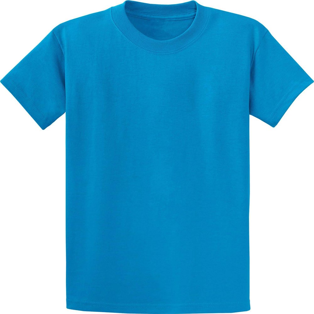Clothe Co. Mens Heavyweight Cotton T-Shirt Plain Tee (Available in Big & Tall), Sapphire, L