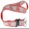 Aminco NCAA Mississippi Ole Miss Rebels Sparkle Lanyard