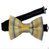 EmilyRose Couture Men's Stripes Bow Ties (Large, Yellow & Gray) view 1