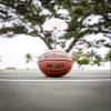 Wilson NCAA Limited Basketball - Size 7 - 29.5", Brown view 4