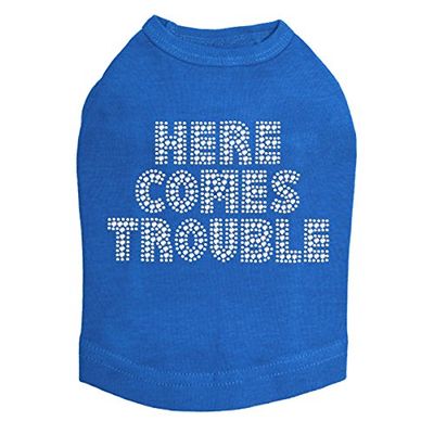 Here Comes Trouble Dog Shirt 2XL Royal Blue