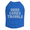 Here Comes Trouble Dog Shirt 2XL Royal Blue view 1