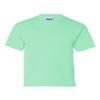 Gildan Big Boy's Seamless Double Needle Preshrunk T-Shirt, Mint Green, X-Large view 1