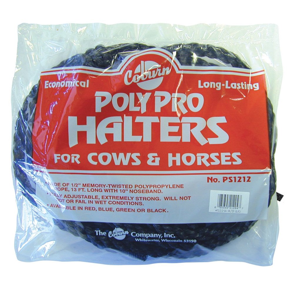 Coburn Bagged Polypro Cow Halter, Black
