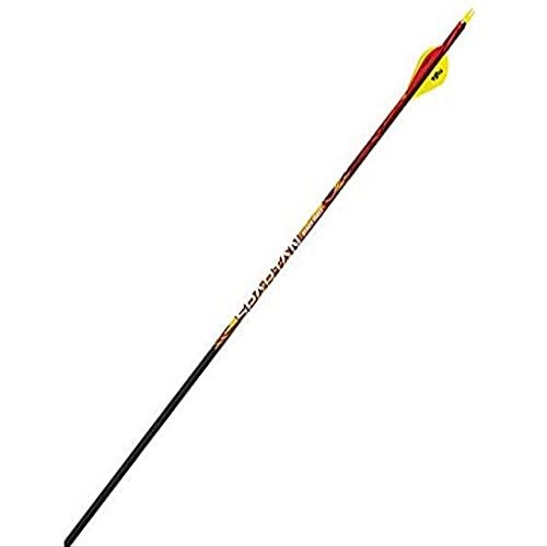 Black Eagle Spartan Fletched Carbon Hunting Arrows - 6 Pack (.001, 400)