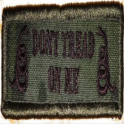 Multicam-Tropic Tactical DTOM-2-snake Patch - 1"x3.75"