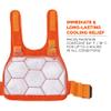 Ergodyne unisex adult + Premium FR Phase Change Cooling Vest Packs, Orange, Small-Medium US view 2