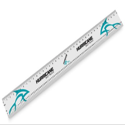 37" Adhesive Fish Ruler