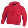 Champion Double Dry Men`s Action Fleece Pullover Hood Scarlet view 1