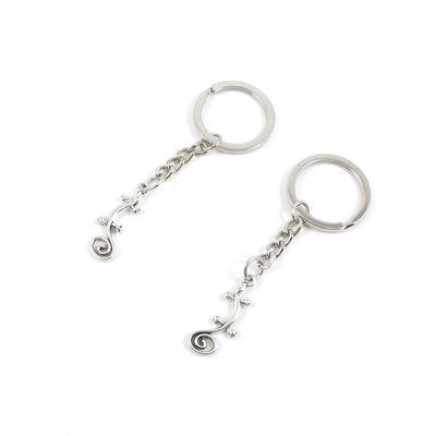BLUESTONE Charms 50 Pieces Keyrings Keychains Door Car Keys Rings Tags Chain Antique Silver Tone Bulk Lots X1QW8U Gecko Lizard