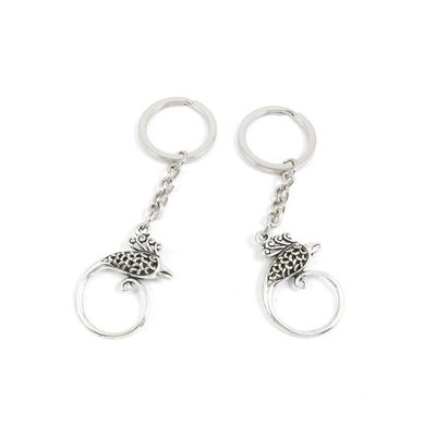 BLUESTONE Charms 1 Pieces Keyrings Keychains Door Car Keys Rings Tags Chain Antique Silver Tone Bulk Lots G6UC2U Hollow Phoenix