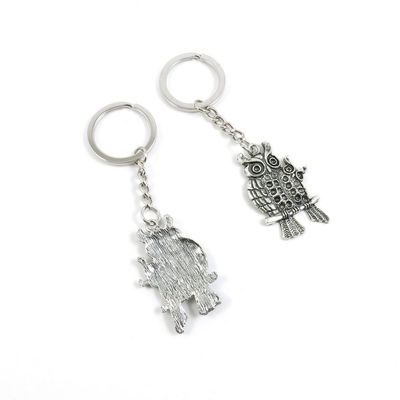 BLUESTONE Charms 1 Pieces Keyrings Keychains Door Car Keys Rings Tags Chain Antique Silver Tone Bulk Lots L7QH8M Owl Parent Child