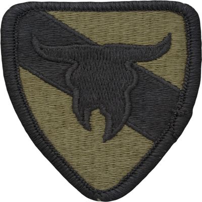 163rd Armor Cavalry Patch (Scorpion OCP Multicam with Fastener)
