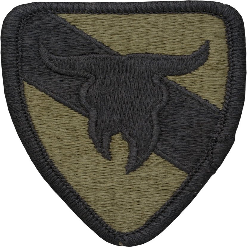 163rd Armor Cavalry Patch (Scorpion OCP Multicam with Fastener)