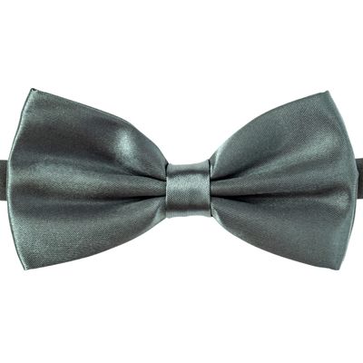 Alex Palaus Collection Stylish Designer Bow Ties - Pre Tied, Adjustable Unisex Bowtie for Men, Women, Boys and Girls (TM) (Silver Grey)