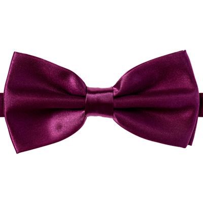 Alex Palaus Collection Stylish Designer Bow Ties - Pre Tied, Adjustable Unisex Bowtie for Men, Women, Boys and Girls (TM) (Fushia)