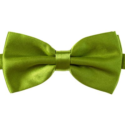 Alex Palaus Collection Stylish Designer Bow Ties - Pre Tied, Adjustable Unisex Bowtie for Men, Women, Boys and Girls (TM) (Henna Green)
