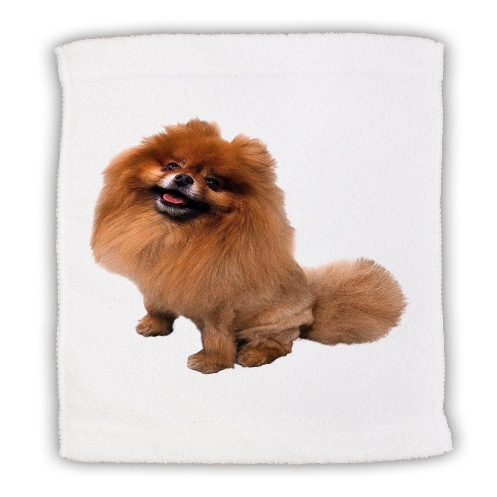 TOOLOUD Pomeranian Sitting All Cute-Like Micro Terry Sport Towel 15" x 22"