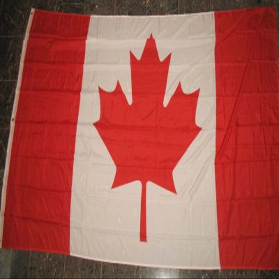 Canada Canadian Maple Leaf Country Flag 5x8 Rough Tex Banner