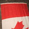 Canada Canadian Maple Leaf Country Flag 5x8 Rough Tex Banner view 2