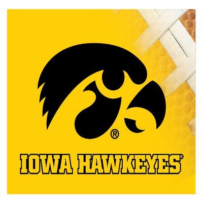 Iowa Hawkeyes 5x6 Inch Rectangle Magnet Single Officially Licensed Collegiate Product