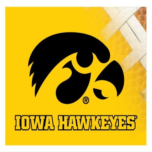 Iowa Hawkeyes 5x6 Inch Rectangle Magnet Single Officially Licensed Collegiate Product