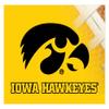 Iowa Hawkeyes 5x6 Inch Rectangle Magnet Single Officially Licensed Collegiate Product view 1