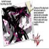 WraptorSkinz Skin Decal Wrap for Yeti Rambler Bottle 36oz Abstract 02 Pink (YETI NOT Included) view 3