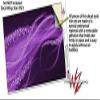 WraptorSkinz Skin Decal Wrap for Yeti Rambler Bottle 36oz Mystic Vortex Purple (YETI NOT Included) view 3
