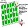 WraptorSkinz Skin Decal Wrap for Yeti Rambler Bottle 36oz Squared Green (YETI NOT Included) view 3