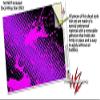 WraptorSkinz Skin Decal Wrap for Yeti Rambler Bottle 36oz Halftone Splatter Hot Pink Purple (YETI NOT Included) view 3