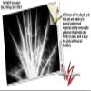 WraptorSkinz Skin Decal Wrap for Yeti Rambler Bottle 36oz Lightning White (YETI NOT Included) view 3