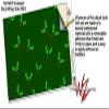 WraptorSkinz Skin Decal Wrap for Yeti Rambler Bottle 36oz Christmas Holly Leaves on Green (YETI NOT Included) view 3