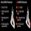Adrenaline Design Powerfoot Hockey Skate Performance Insert - Bauer Skates Size SR10+ view 2