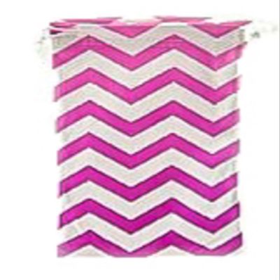 Eyeglasses Gadgets Cleaning & Storage Pouch, Bright Pink Chevron