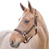 HORZE Holbrook Horse Halter - Dark Brown - Warmblood view 1