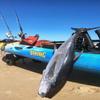 C-Tug Sandtrakz Kayak Cart, Black view 2