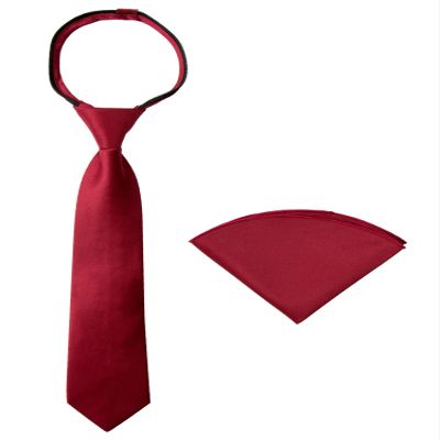 Spring Notion Boys' Satin Zipper Necktie and Handkerchief Set Small Red