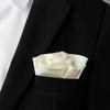 Spring Notion Boys' Satin Zipper Necktie and Handkerchief Set Small Ivory view 3